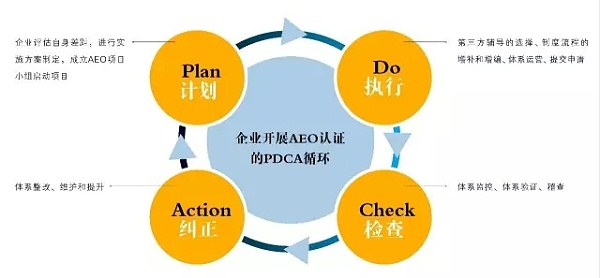 640.webp (10)