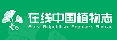 越桔