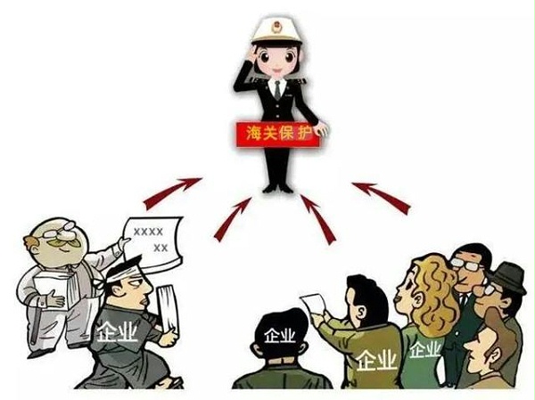 知识产权海关保护之举报受理篇