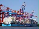 海关总署公告2025年第32号（关于进口吉尔吉斯共和国芸豆植物检疫要求的公告）